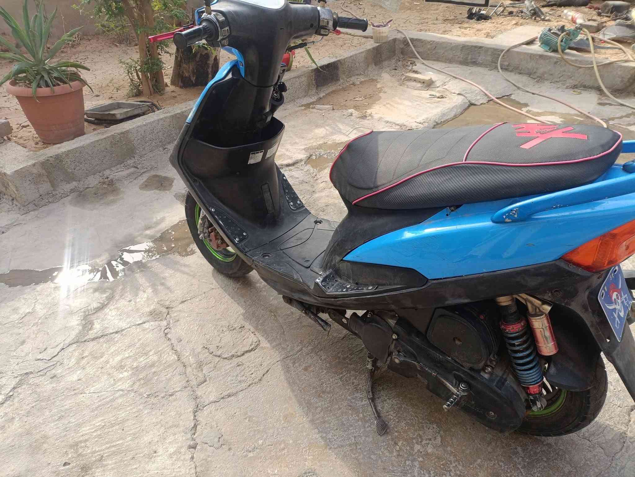 ماكس عدلة • للبيع