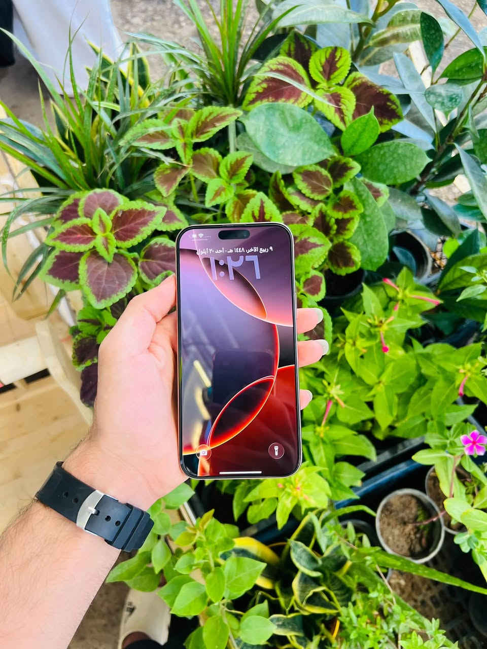 ايفون 16 برو ماكس
ذكره 256 
بطاريه 92 
دبل سيم 
نموذج Za 
الجهاز شرط ما مفتوح 
فقط زر الصمت ول عام ما يشتغل ما يضر أصلن 
جهاز فول ماشاء الله 
السعر 1200 بي مجال بسيط شراي تفضل خاص او واتس اب ***********

نص مكتوب في الصور:
- 1:37
- حول
- الاسم
- iPhone
- إصدار iOS
- 26.6.2
- اسم الطراز
- iPhone 16 Pro Max
- رقم الطراز
- A3297
- الرقم التسلسلي
- K756VY49L7
- الأغاني
- الفيديوهات
- الصور
- السعة
- ٢٥٦ غ.ب.
- متوفرة
- ٢٣٦,١٣ غ.ب.
- عنوان Wi-Fi
- 60:81:10:37:BF:49
- Bluetooth
- 60:81:10:26:89:98
- البرنامج الثابت للمودم
- 2.70.01
- SEID