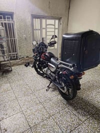 بوكسر • ٢٠٢٣ • مرقم