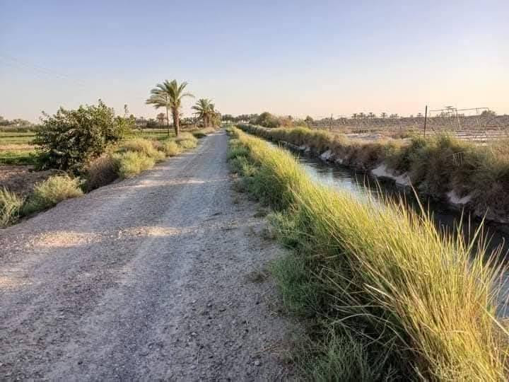 🌾 ٥ دوانم طابو زراعي للبيع – الفلوجة 🌾

📍 الموقع: الفلوجة – سند ٢٥ سبع البور – شيخ عامر – وراء السور – منطقة العيساوية

✅ طابو زراعي رسمي
💧 ماء سقي + آبار ماء
⚡ كهرباء
🛣️ تبليط
🏫 مدارس وخدمات متكاملة
🌱 الأرض مزروعة فول
📄 فتح بيان مباشر وتحويل باسم المشتري

⏱️ تبعد عن المنصور حوالي ٥٠ دقيقة

🔥 فرصة ممتازة للاستثمار الزراعي والسكن الريفي

📞 للاستفسار والاتصال:
***********
***********
