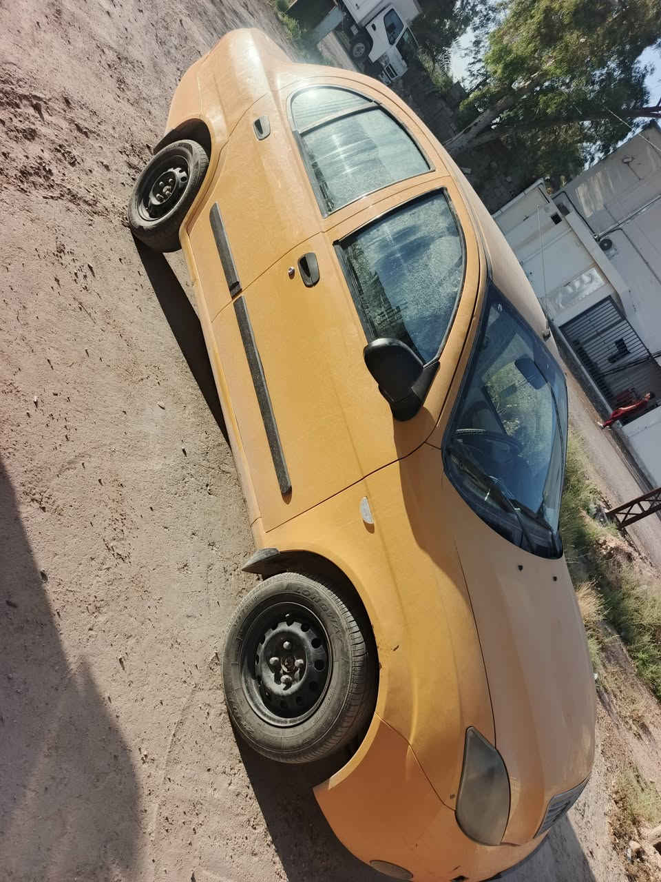٢٠١٦ • رقم انكليزي • بدون صبغ