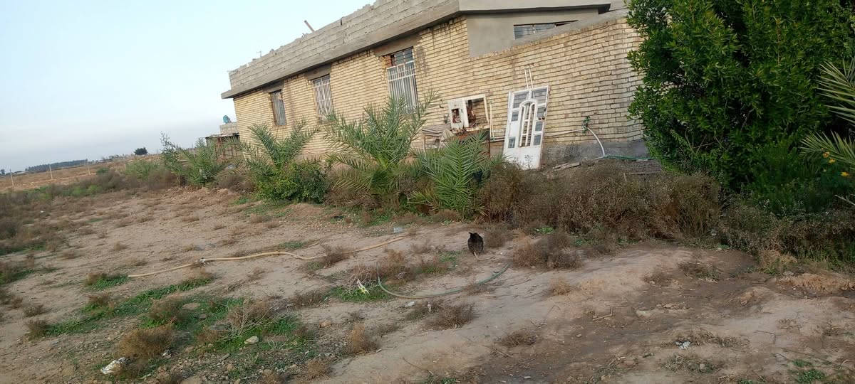 للبيع أو مراوس 8دوانم طابو سند 25 خدمات كهرباء وماء بيها 3بيوت وحديقة كبيرةومسبح ومحاصير حلال مزروعة نخيل وزيتون ونبك تفاحي ورمان واشجار مختلفة بغداد حي اور نهاية سبع قصور بالاوسمة والانواط *********** ابيع حسب الطلب من 2 دونم فما فوق
