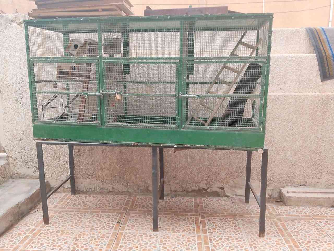 ٣ أقفاص • درجة أولى • مراوسة بدراجة