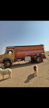ابردين • موديل ٨٢ • شاصي مكفول