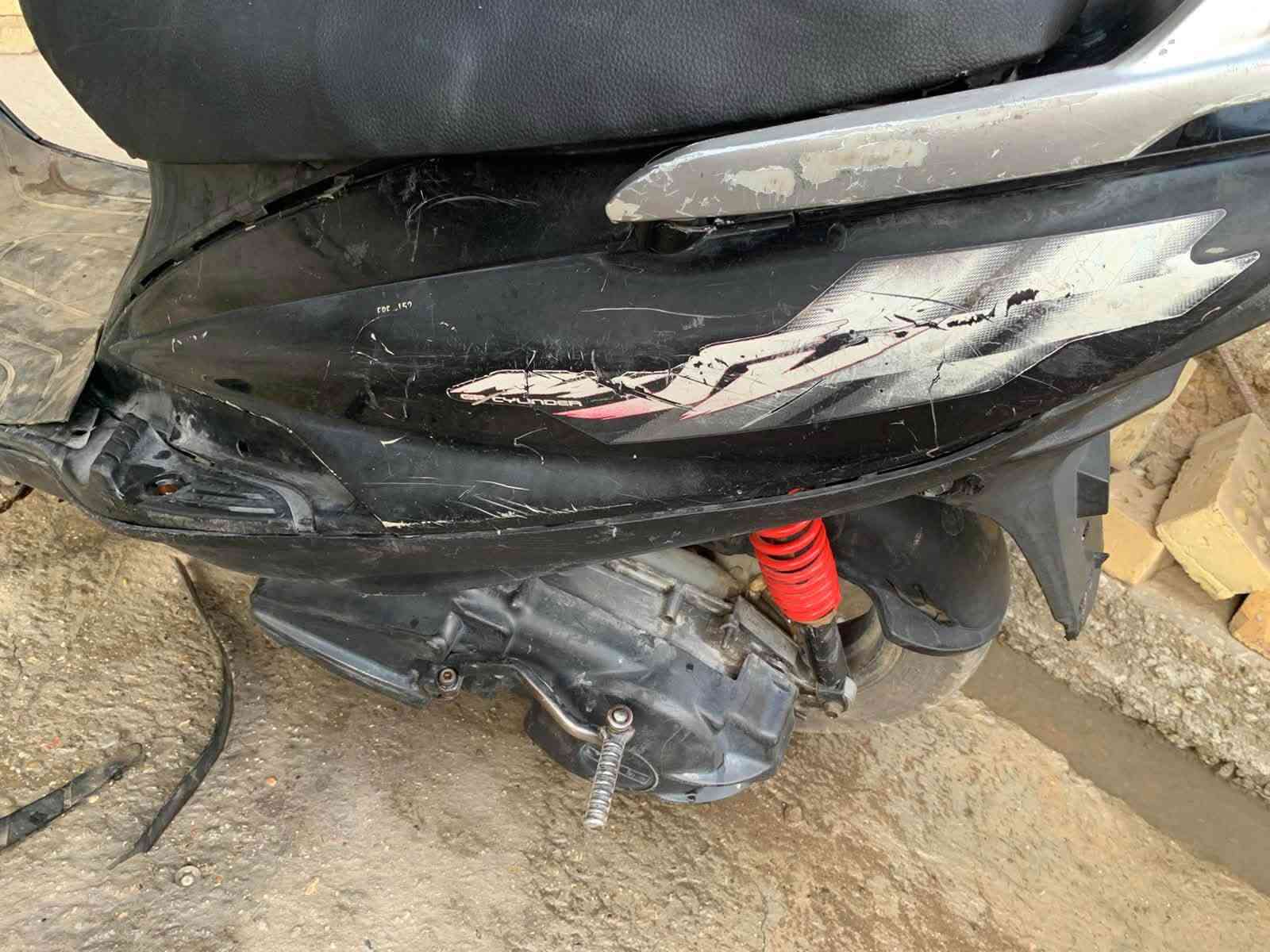ماكس • ١٤٠ • ثعلب