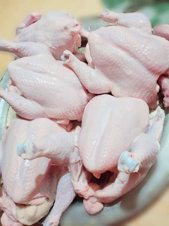 يالله// يتوفر دجاج حي سعر كيلو 2650 كامل هوه تنضيف ***********
