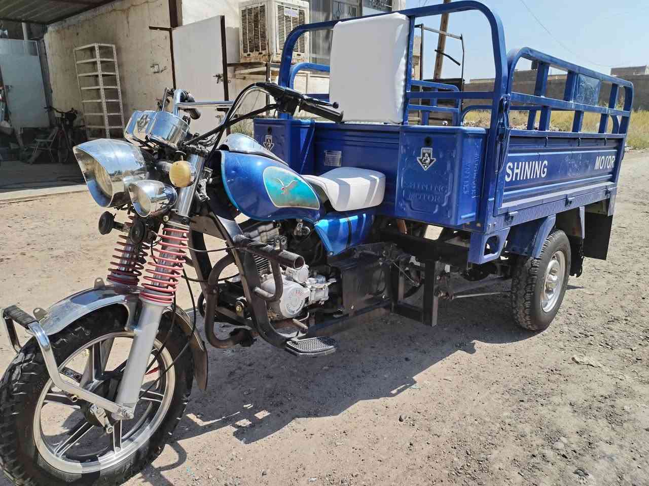 ستوتة جمرة • فحل • ٢٠٢٣