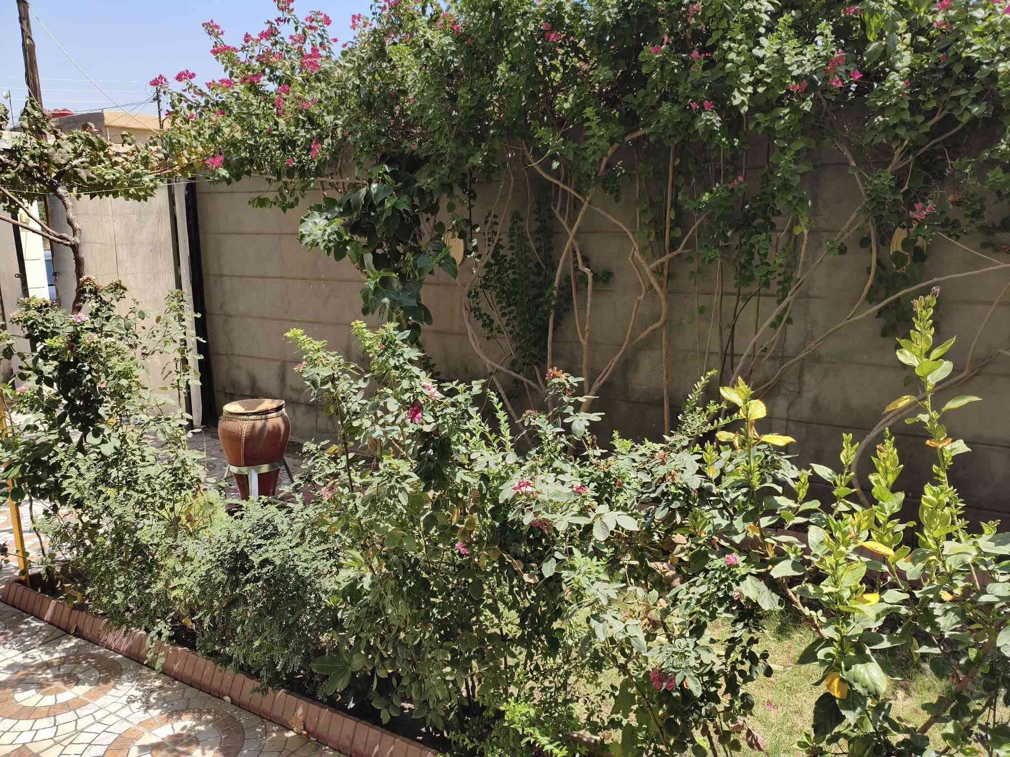 بيت للبيع مساحه 250متر طابو زراعي سند25تحويل باسم المشتري مباشر يتكون من حديقه كراج صحيات خارجيه واستقبال وهول ومطبخ وغرفتين نوم طابق ثاني بيتونه وغرفة نوم يعني ثلاث غرف بيت حديث ومرتب السعر 120بي مجال بسيط عنوان حله ورديه نزلت معمل ابو كيره يبعد عن شارع العام 250متر للاستفسار الاتصال على الرقم التالي ***********
