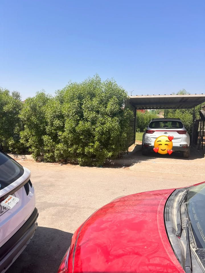 للبيع في منطقة حي البساتين الضباط بيت مساحة ٢٠٠ متر طابو صرف
طابقين الارضي (غرفة ضيوف . هول . مطبخ . غرفة منام . خدمات)
الطابق الثاني ( ٣ غرف منام .خدمات) 

مع حديقة خارجية تشجير بلدية رسمي وكراج سياره 

للاستفسار 
‭***********‬
‭***********
