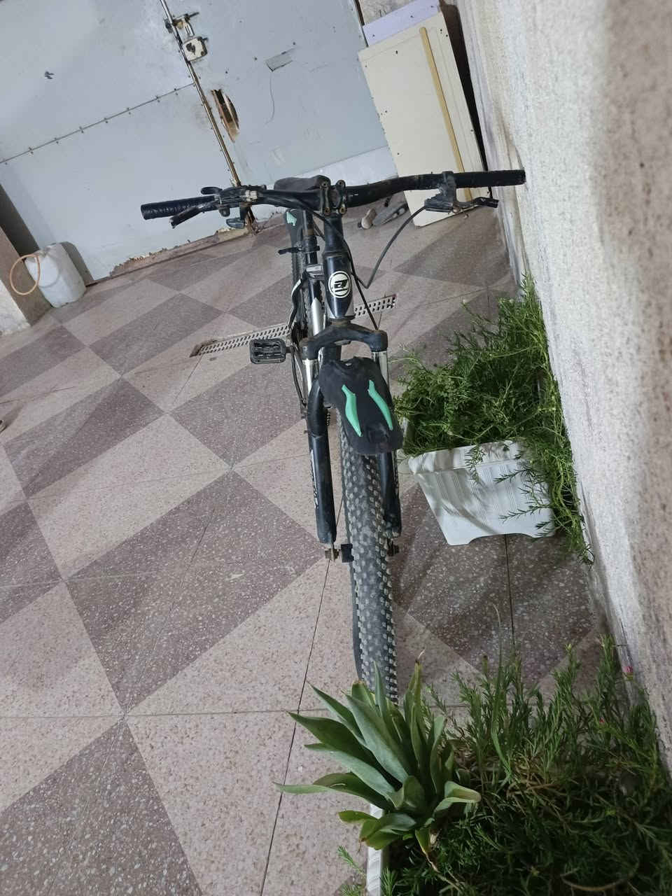 السلام عليكم باسكل قفاز باسكل جاهز ونضيف مابي شي في تاير الامامي يتحاج هواء والبريك الخلفي واير فالت يحتاجله تصليح بسيط يعني تجي وتشوفه دبلات شغاله كامل المكان بابل الحله حي العسكري شارع 80 السعر 50 بي مجال الرقم ***********
