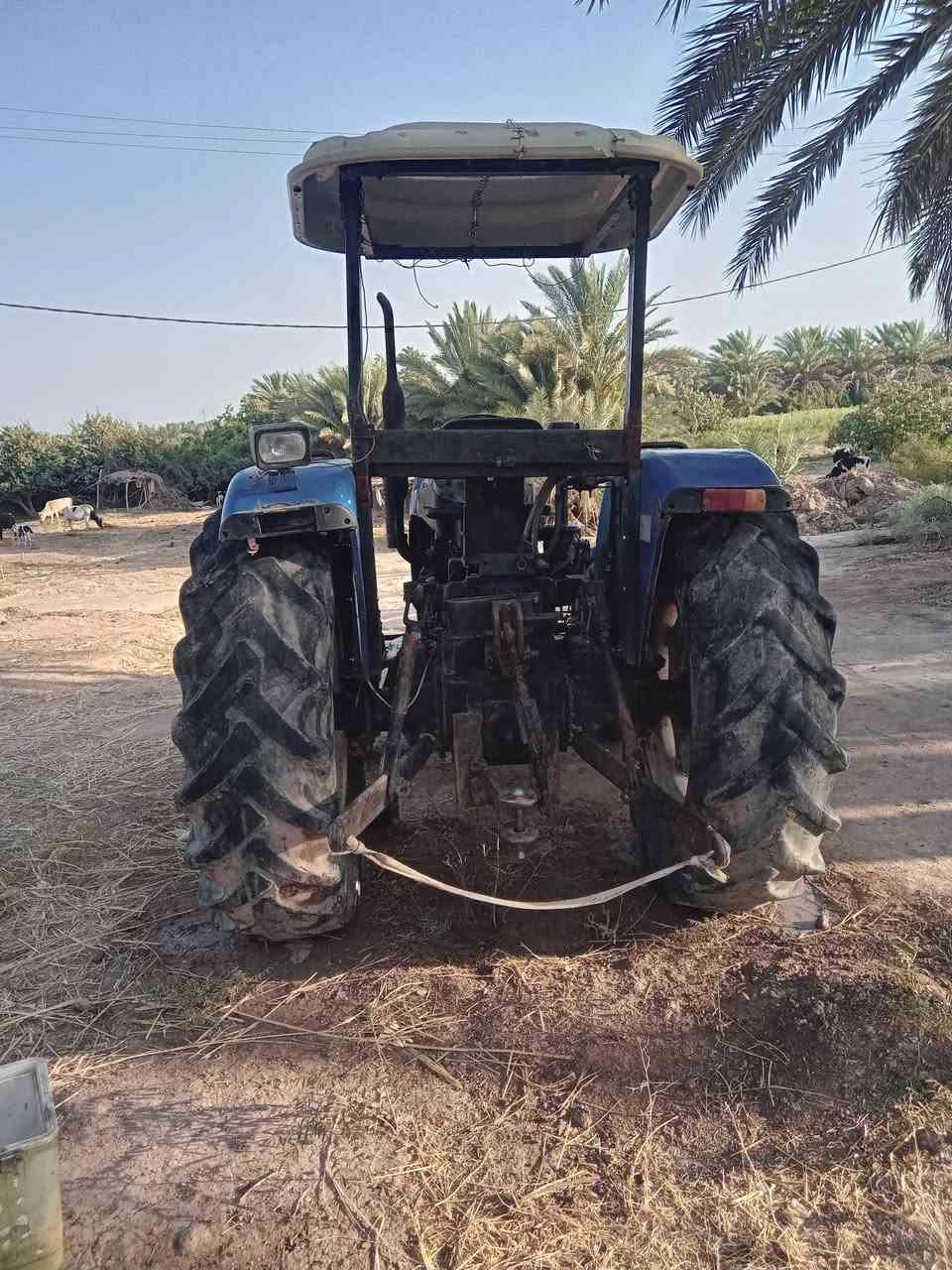 ٧٥ • ٢٠٠٦ • كتاب شركة