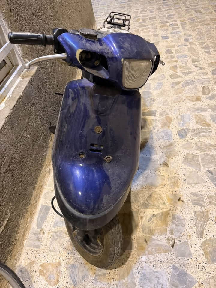 بطة • نظيفه • اوراق