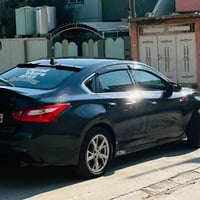 التيما • ٢٠١٦ • رقم اربيل