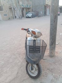 بطة • للبيع • موجود
