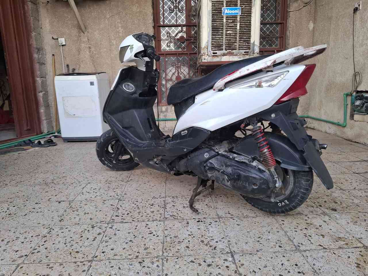 ثعلب ماكس • نظيفة • سلف