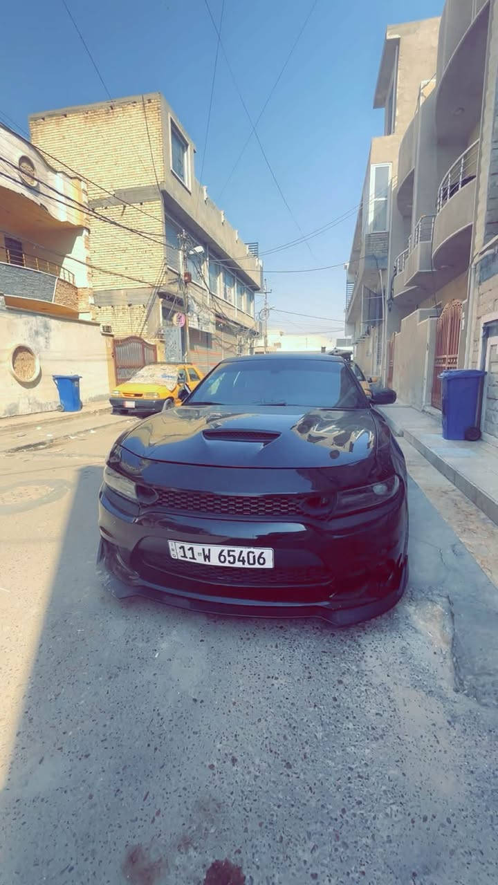 سلام عليكم للبيع
جارجر SRT  سكان باك 6.400
  موديل 2017
لاضافات 

غرفه هيلكات قرميدي
ويل نجمه
لحيه اماميه + دوس + سبايدر + كفر مري +دفيوزر 
 لد اوركل متغير
سقف روزرايز
برجمه +تفريغ مصطفى ايكل
slp وصطيات
تبديل مراوح + راديترات + مازدات + كمبريسر صالهن شهر
برمجه سيفتي
ولف حماوه
ماشيه 80الف ميل
حادث سياره جاملغ + بنيد
سعر 165 وبيه مجال مكان سياره بغداد شعب
رقم للتواصل ***********
