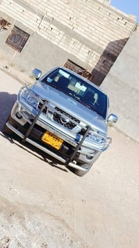 نيفارا • ٢٠٠٩ • قطعة صبغ