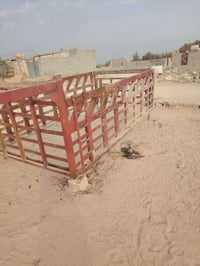 محجر • نجف • ابو صخير