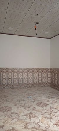 قوسيات الزيتون • ١٥٠م • غرفتين