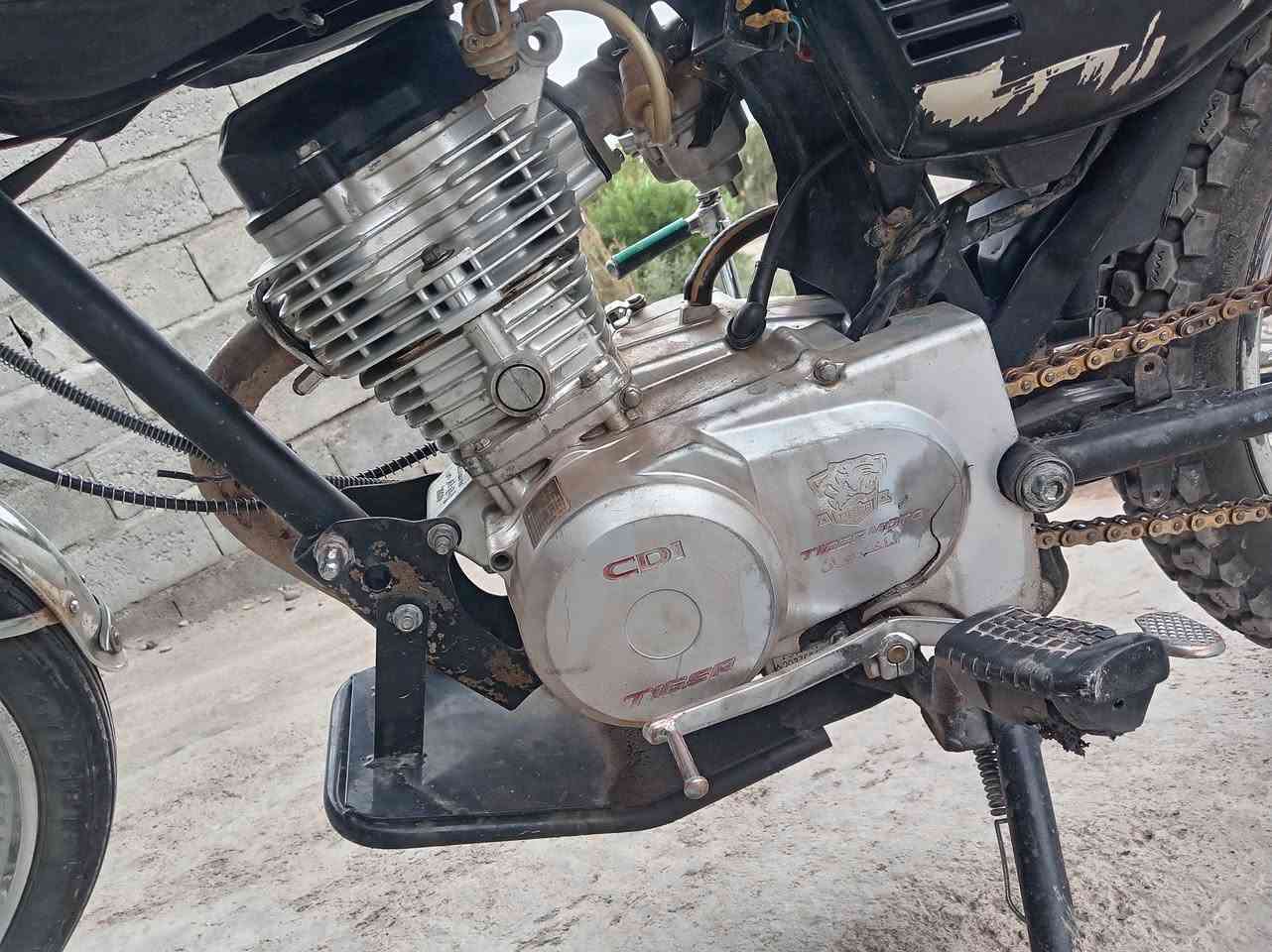 تايگر • ٤گير • ٢٠٢٠