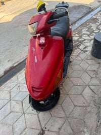 فراشه • نثيه • جاهزه