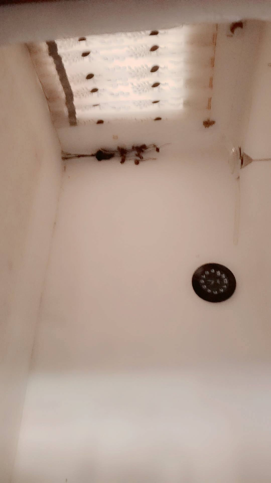 السلام عليكم البيت اللبيع طابو صرف مساحه 300 طابقين 4عرف نوم مع مطبخ وصحيات فوق وطابق الاول يحتوي على ستقبال ومدخل عرف نوم واحده وهول حمام ومطبخ رضي *********** سعر 225مليون وبي مجال قابل
