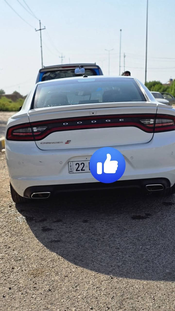جارجر sxt موديل 16 كندي رقم اربيل انكليزي سنويه لل2029 سياره كفاله من الصبغ والتبديل فقط قبق الجنطه مبدل هنا بالعراق والباقي كله كفاله  شاشه جبيره تدفئه كشنات كشنات كهرباء جديد كير مكينه حداديه تخم تاير كله جديد رقم الهاتف *********** السعر ب190 بيها مجال
