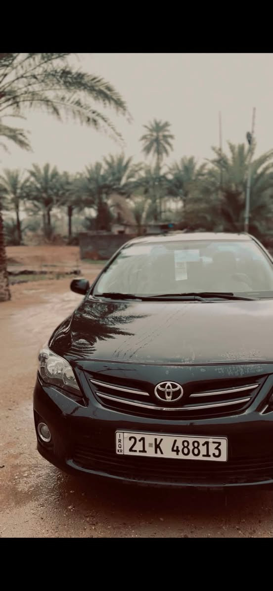 كورلا امريكي • ٢٠١٣ • كفالة