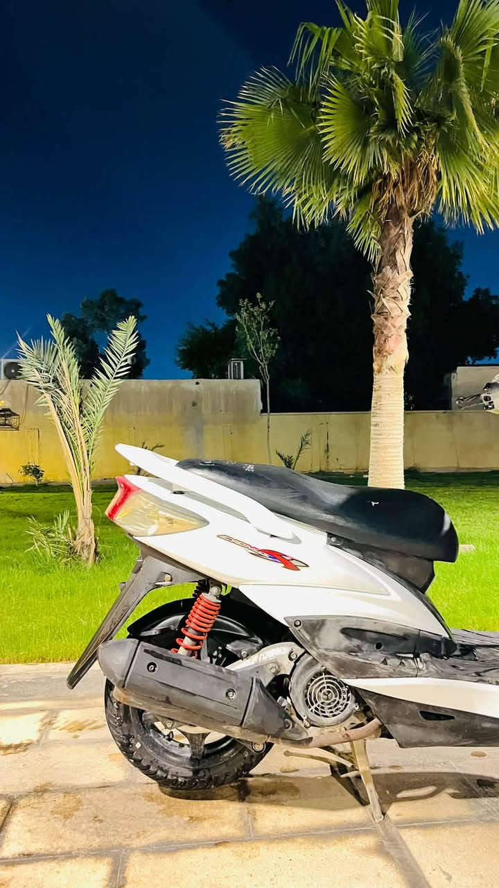 سكنس فحل • ياباني • كابريتر