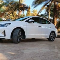 الانترا • ٢٠١٩ • رقم كربلاء