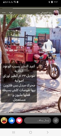 ام الطير • موديل ٢٢ • أوراق اصولية