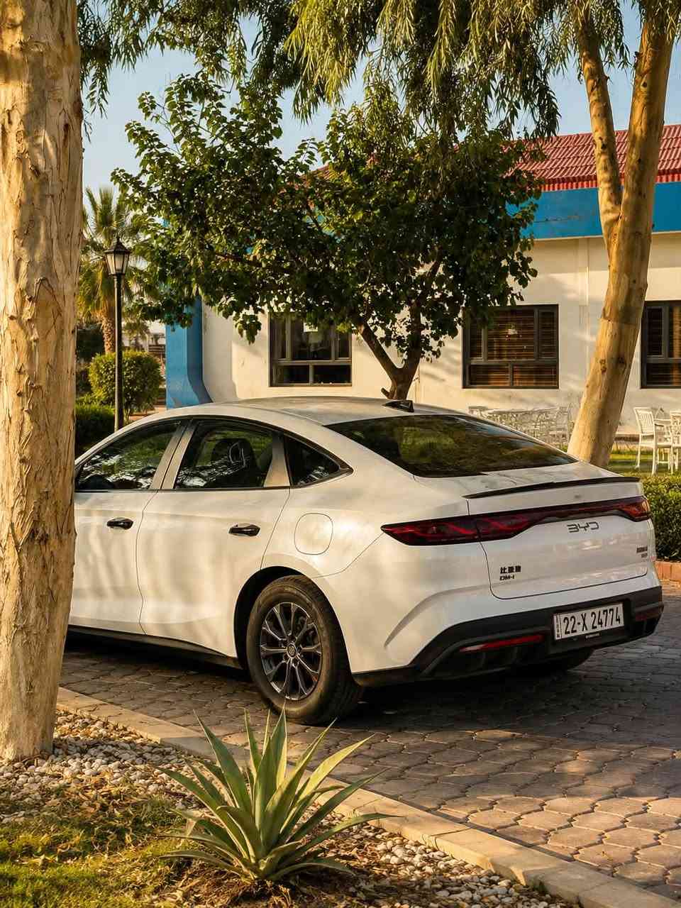 بي واي دي كين ئيل 2025
BYD QIN L 2025
13 كاميرا ورادار 360
ناو سپي
پاتري 80
بانوراما نية
11 رويشتوة
رةقةم هةولير بةناوخومة
هيچي نية
نرخ 179 ومةجال
شوين كةركوك
وتساب***********
