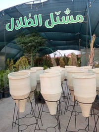مشتل الظلال • أشجار ونباتات • ناحية القيارة
