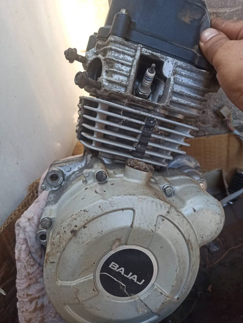يالله مكينه بوكسر 4 كير طافيه+كلاجات جديده+كابريتر أصليه+تاير وجوب ما مستعملات أصليات للبيع كلمن وسعره مكانهن حله مركز ***********
