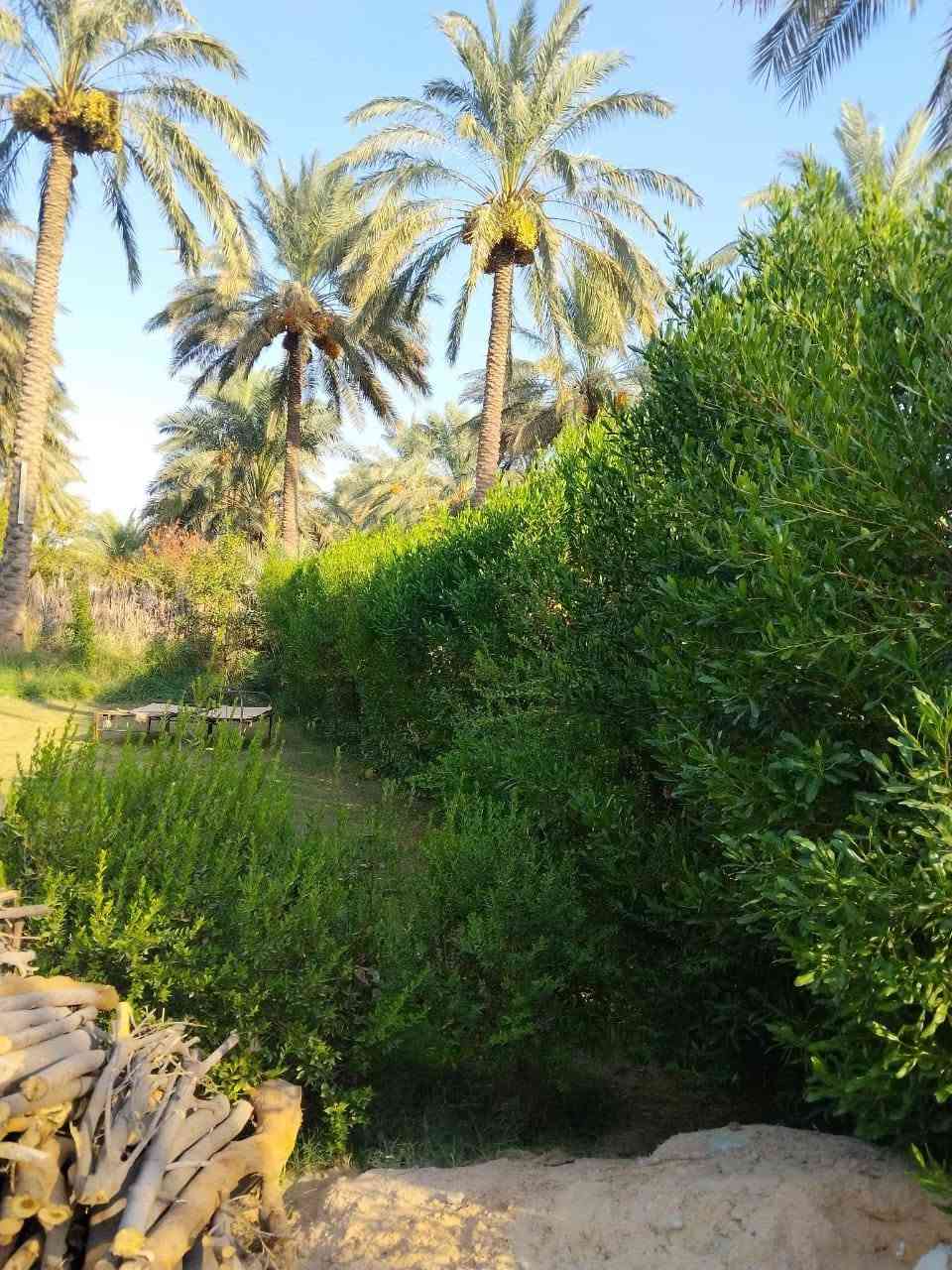 سلام عليكم يوجد بيت للبيع مساحه الف متر يحتوي على 2غرف نوم واستقبال ومطبخ وحولي وصحيات طابو زراعي سند25 إقرار محكمة العنوان بغداد الراشديه قرب كاظم العلي الاتصال على الرقم ***********
