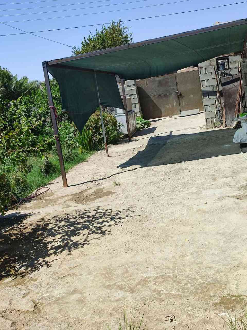 دار للبيع مساحتها 470متر يحتوي ع غرفتين وصاله ومطبخ وستقبال وكلدور وقاط الثاني بيتونه وغرفه وحديقه جبيره واصل مي وكهرباء وتبليط للباب المكان حي المصطفى السعر 52وبي مجال 
***********
