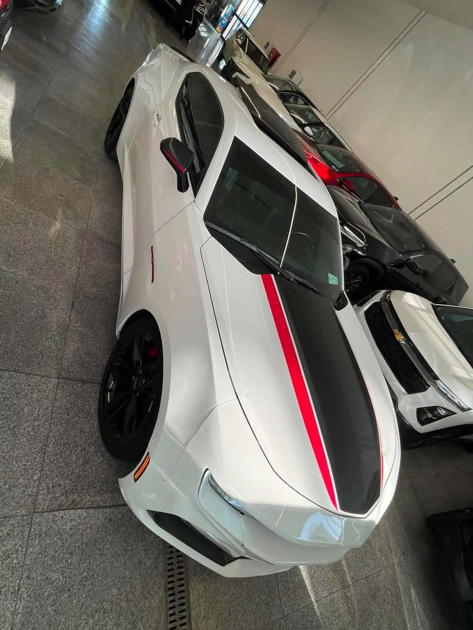 مديل 23 فول مواصفات RS
ماشيه 9000
حادثه دعاميه اماميه مصبوغه الباقي البدي كفاله
بلا رقم
***********
السعر/١٥٠
العنوان/البصره
