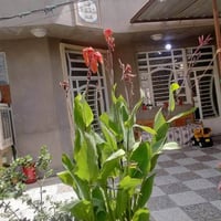 المهدية الثالثه • ٨٠م