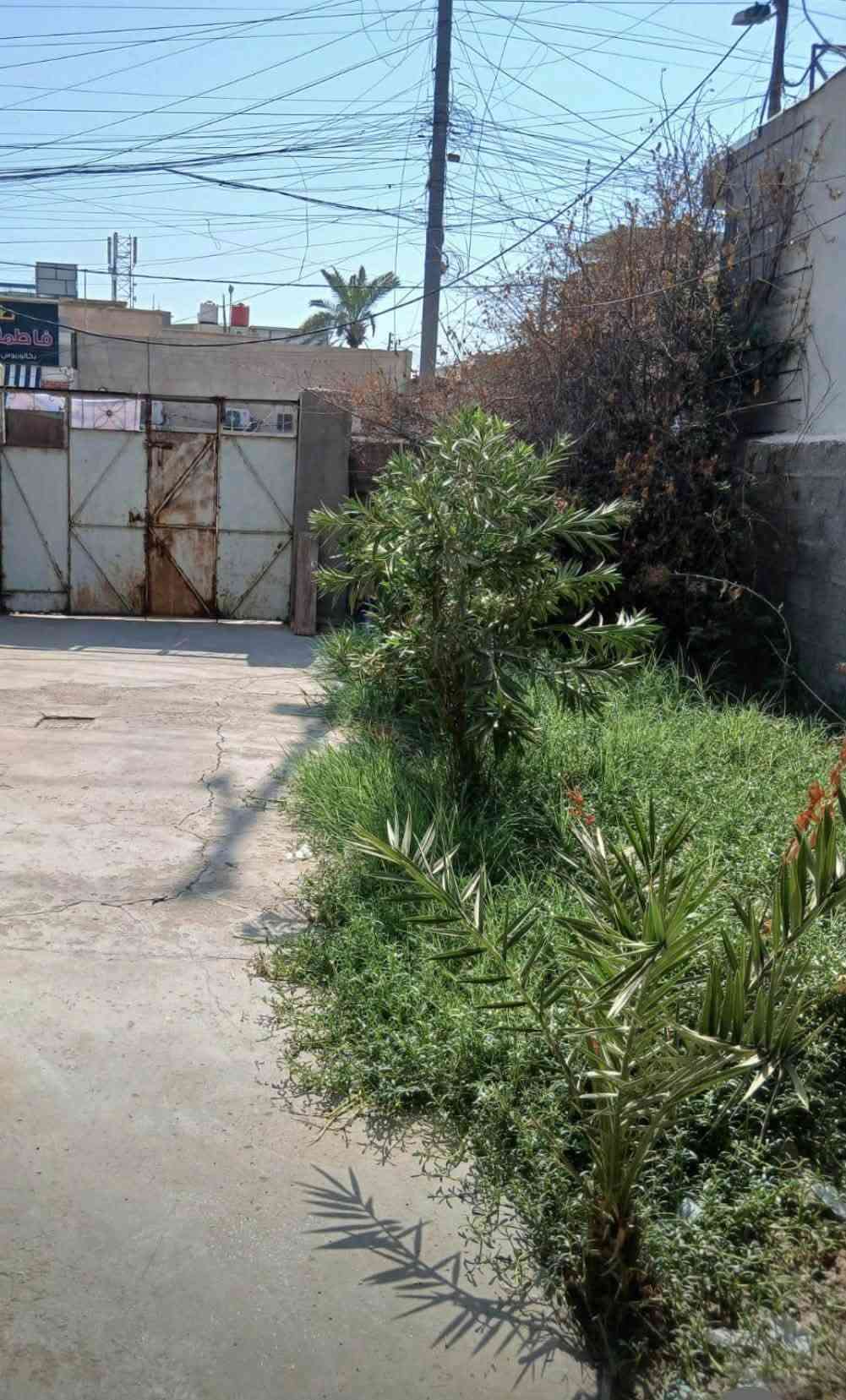 بيت ارضي • الجبيلة الشارع العام • ٢ غرف