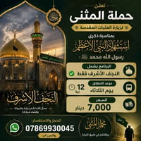 زيارة العتبات • النجف الأشرف • الثلاثاء ١٢ليلا