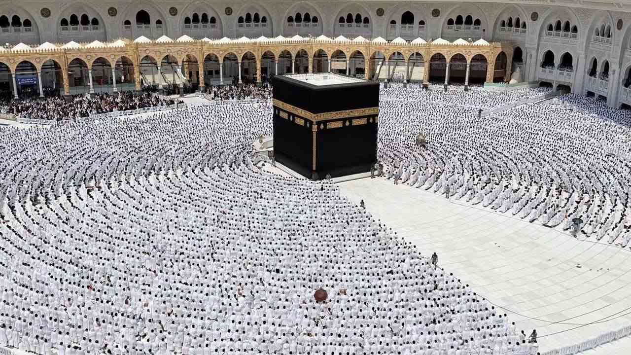 📢 متوفر الآن

🚌 رحلات بر
✈️ رحلات طيران
🕋 خدمات العمرة والحج
🏨 حجز الفنادق والتذاكر

⚠️ المقاعد محدودة
​📞 للحجز والاستفسار يرجى الاتصال بنا او مراسلتنا 📩
📱 *********** 
📱 ***********
شركة الضيافة لخدمات الحج والعمرة
🤲 خدمة زوار بيت الله شرفٌ لنا
