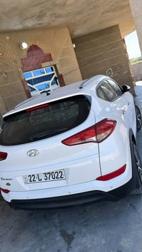 توسان • ٢٠١٧ • رقم اربيل