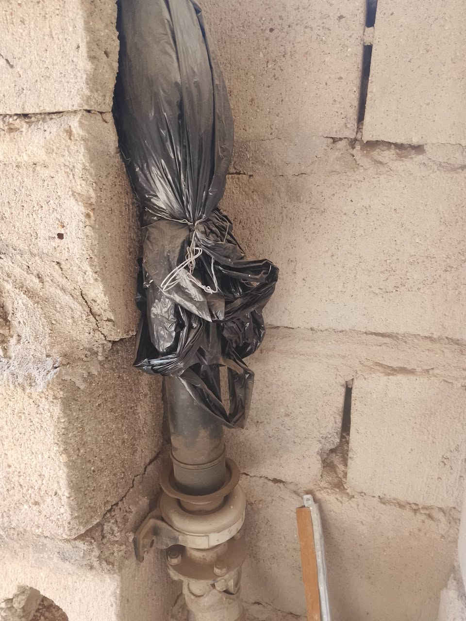 كاردن للبيع مال بطه ياباني تفصيخ
***********
