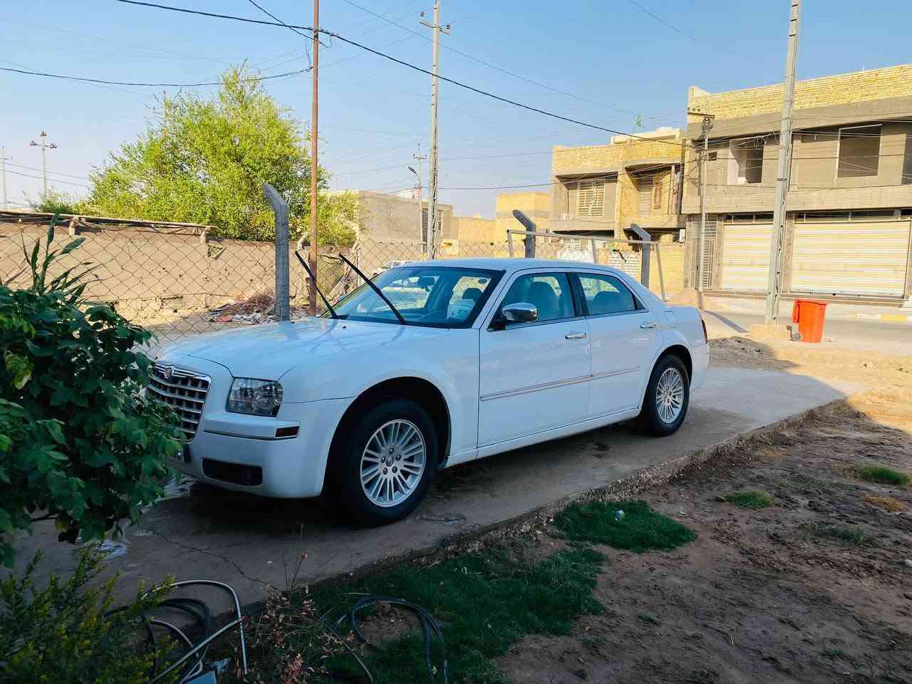 ابيض ثلجي • ٢٠١٠ • رقم اربيل