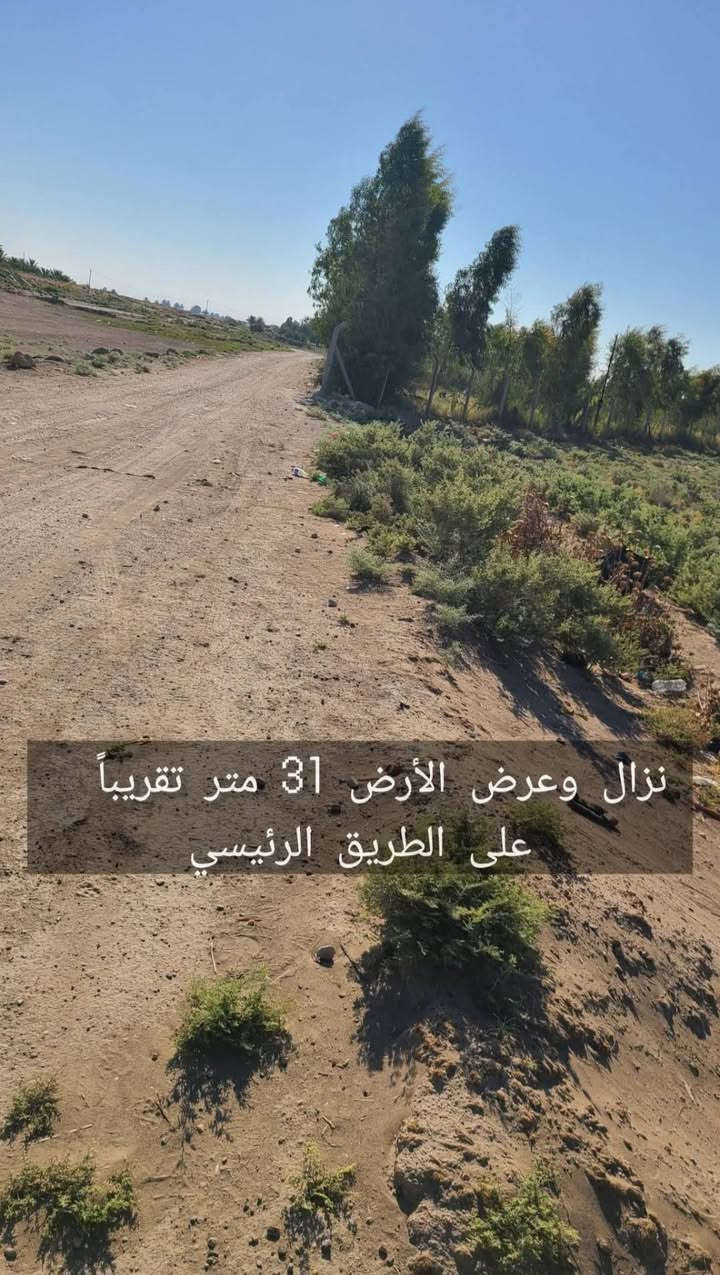 دونم زراعي للبيع
2500 متر مربع
ابوغريب الشيحة على خط السريع مباشر

***********

السعر جدا مناسب ٤٥ مليون فقط 

.
