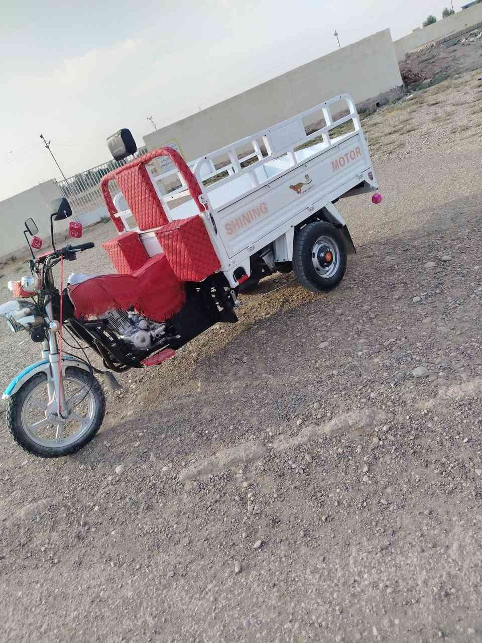 ستوته • موديل ٢١ • أوراق جنوبيه