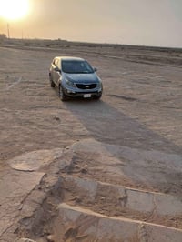 سبورتج • ٢٠١٦ • وارد أمريكي