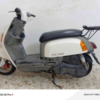 للبيع او مراوس ماكس عدله أو منغولي الاستفسار 07814925201