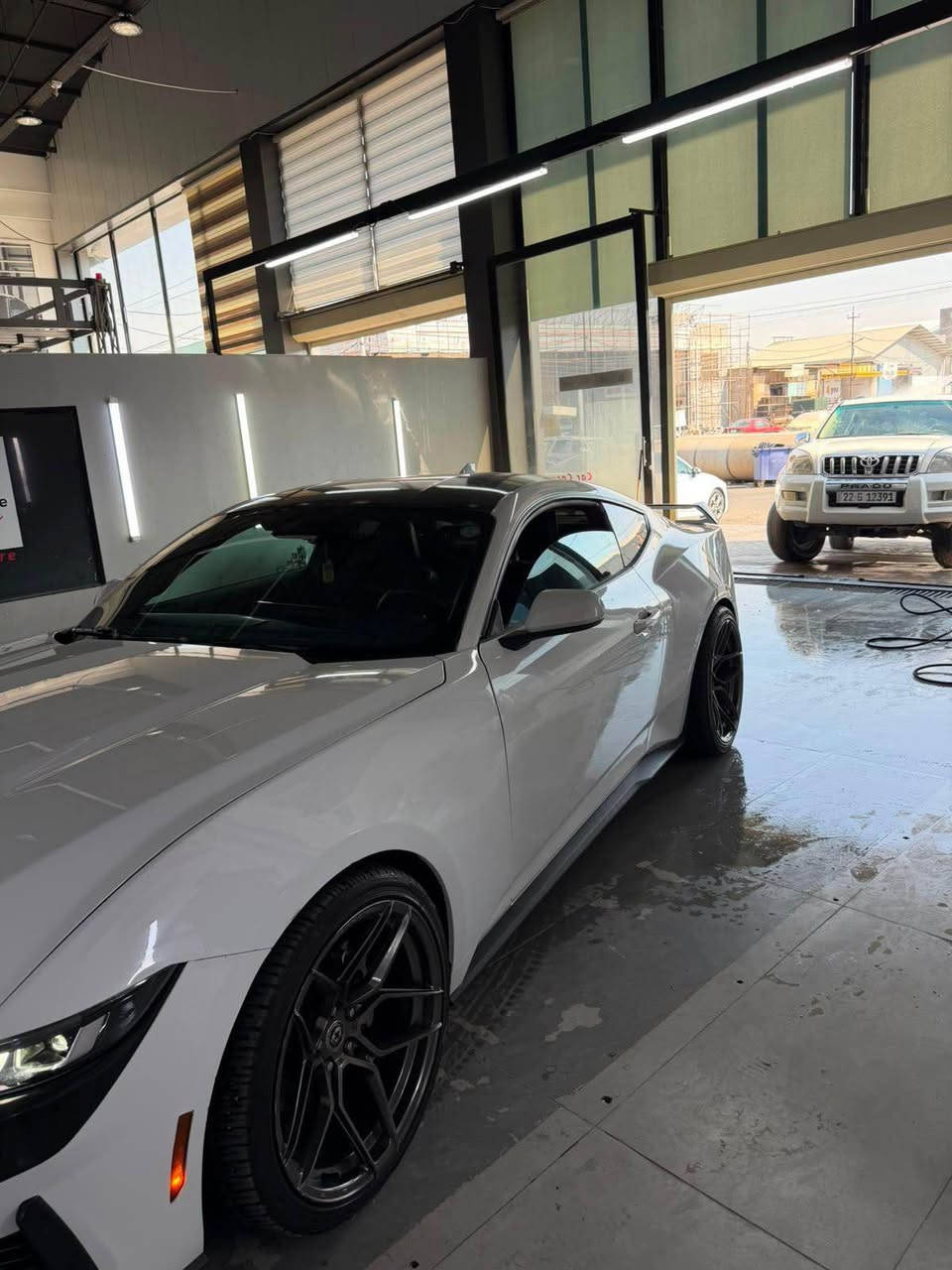 موستانغ • ٢٠٢٤ • أربيل