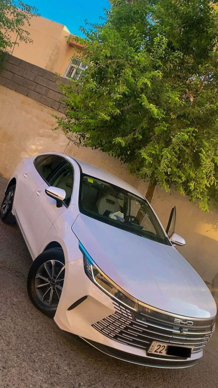 بي واي دي • ٢٠٢٥ • أربيل